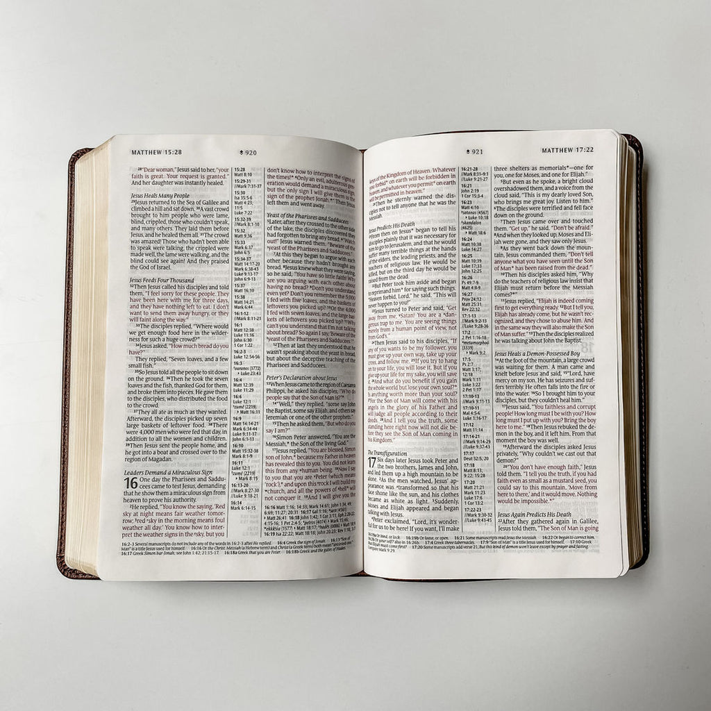 Nothing is Impossible With God Brown NLT Bible