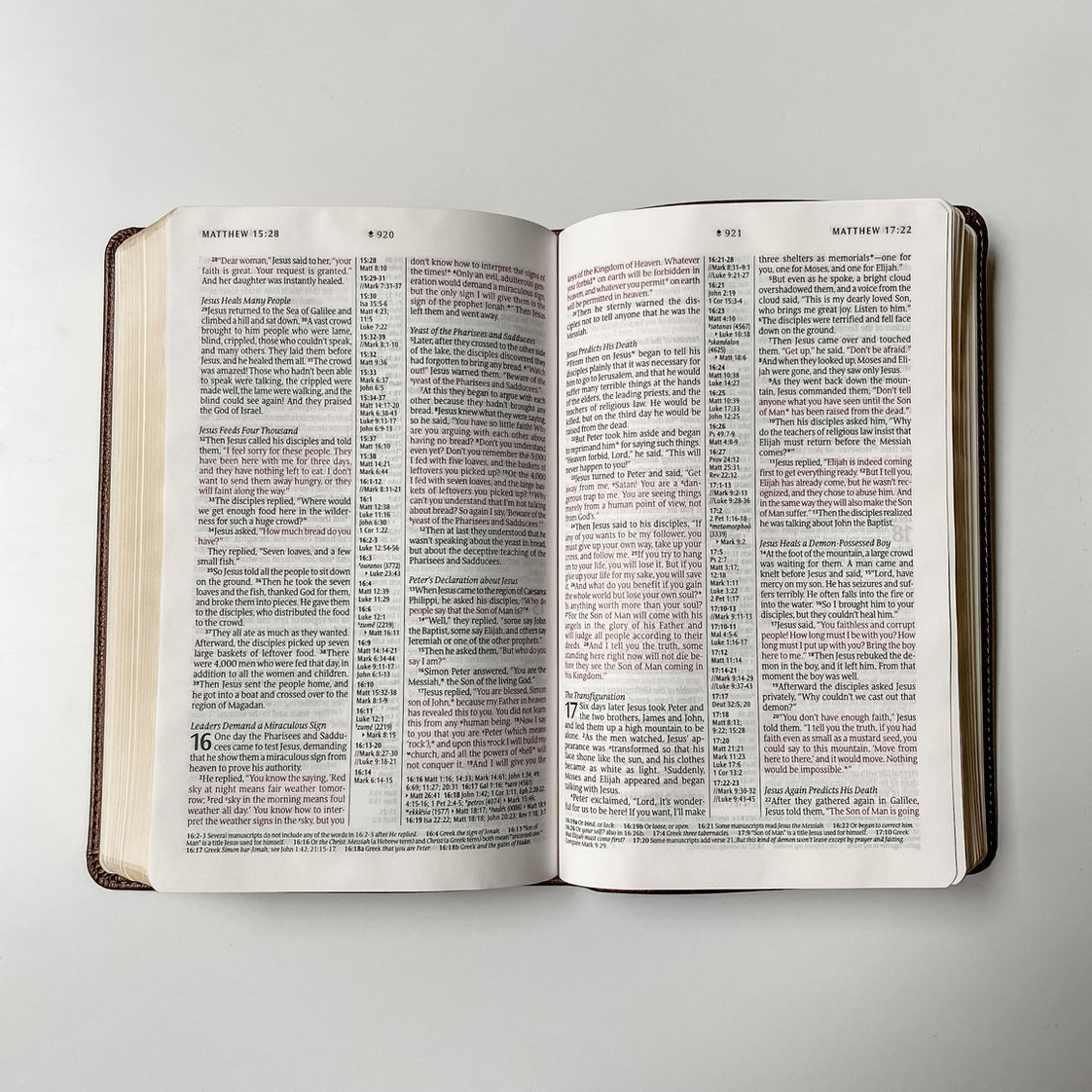 Nothing is Impossible With God Brown NLT Bible