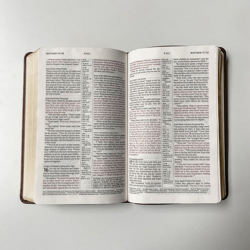 Nothing is Impossible With God Brown NLT Bible