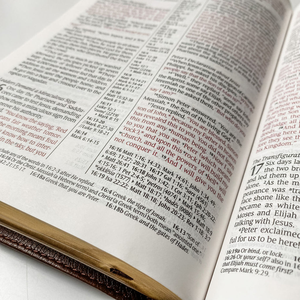 Nothing is Impossible With God Brown NLT Bible
