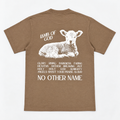 No Other Name Tee Brown