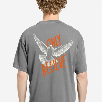Only Believe Cropped Tee - Grey
